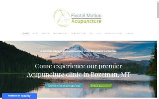 Pivotal Motion Acupuncture website