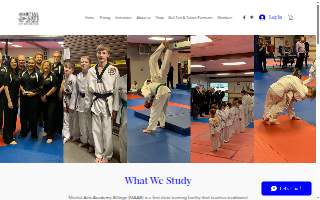 Martial Arts Academy website