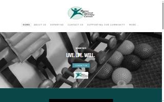 Butte Physical Therapy Center website