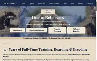 Dustin Retrievers Montana, Dustin Retrievers Sutter, CA website