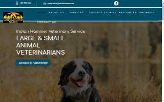 Indian Hammer Veterinary Services website