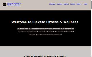 Elevate Fitness & Wellness Studio website
