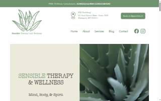 Sensible Therapy and Wellness website