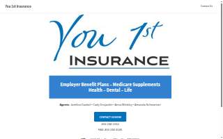 You 1st Insurance website