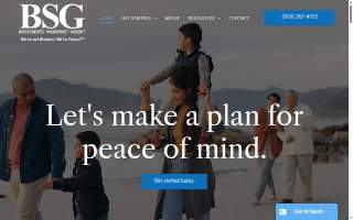 BSG Advisers website