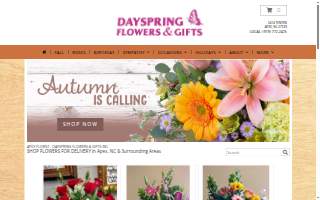Dayspring Flowers & Gifts website