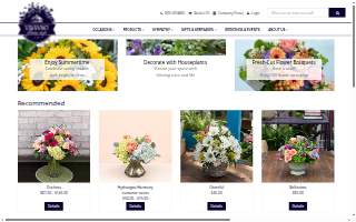 Health Solutions NC website