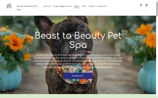 Beast to Beauty Pet Spa website