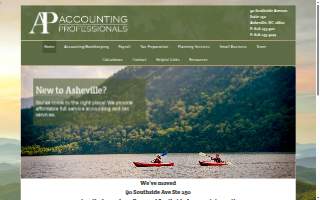 Accounting Professionals LLC website