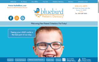 Bluebird Pediatric Dentistry in Boone website