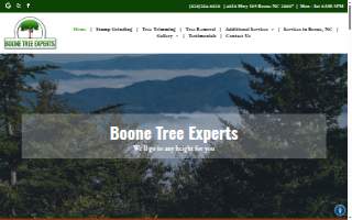 Boone Tree Experts website