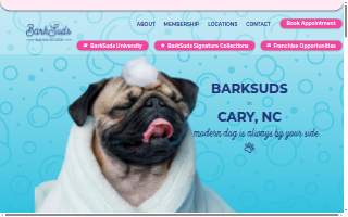 BarkSuds website