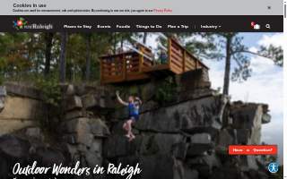 Raleigh Auto Spa website