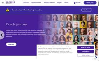 World Courier of Cary website