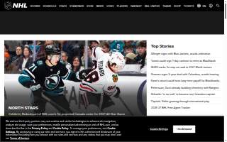 Kings Tire Shop website
