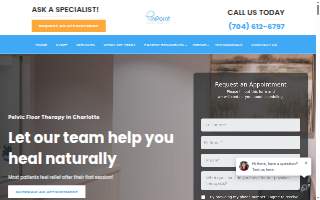Pin Point Physical Therapy, LLC website