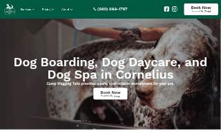Camp Wagging Tails of Davidson website