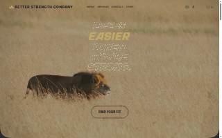 Better Strength Company website