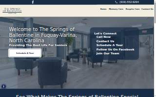 The Springs of Ballentine website