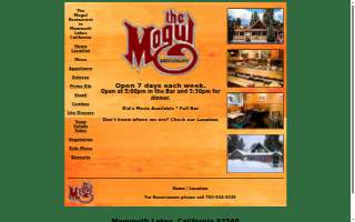 The Mogul website
