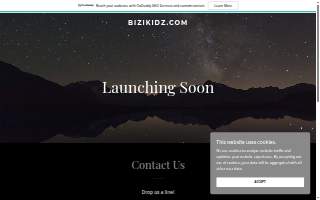 Bizi Kidz website