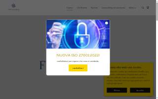 FM Consulting Group website