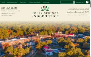 Holly Springs Endodontics website