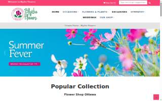 Extra Space Storage of Gorham website