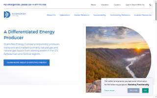 Dermatology Group of the Carolinas - Huntersville website