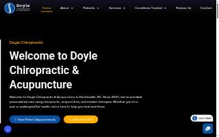 Doyle Chiropractic and Acupuncture website