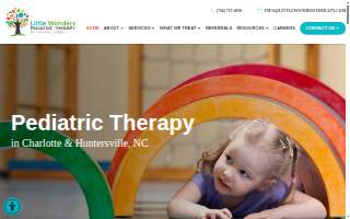 Little Wonders Pediatric Therapy website