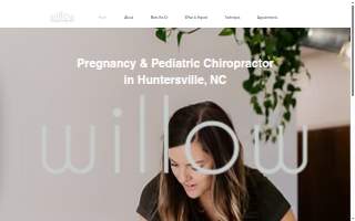Willow Family Chiropractic website