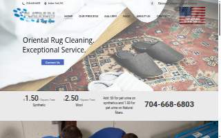 Platinum Professional Rug Cleaning website