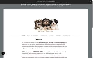 Colhaven Havanese website