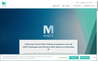 Mintz Law Firm, PLLC website