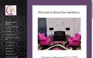 Moon Tree Aesthetics website