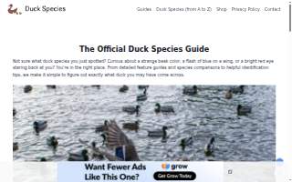 Duck's Body Shop website