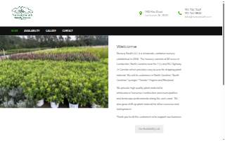 NurserySouth website