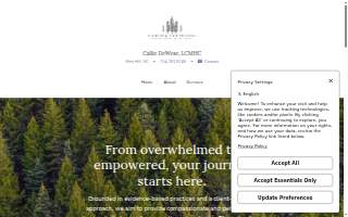 Fairview Counseling website