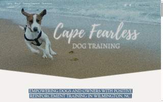 Cape Fearless Dog Training website