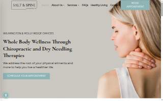 Salt and Spine Chiropractic website