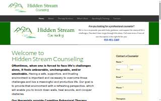 Hidden Stream Counseling website