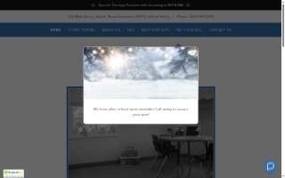 Speech Therapy Solutions of Raleigh website
