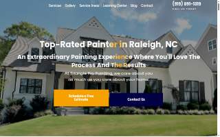Triangle Pro Painting website