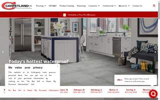 Carpetland USA of Martinsville website