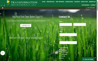 Transformation Professionals website