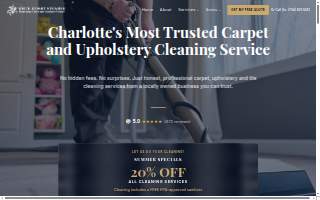 White Knight Steamer, Inc. website