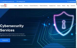 Pantar Solutions Inc website