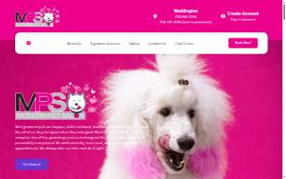 Modern Pet Salon of Wesley Chapel website