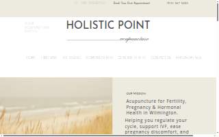 Holistic Point Acupuncture website